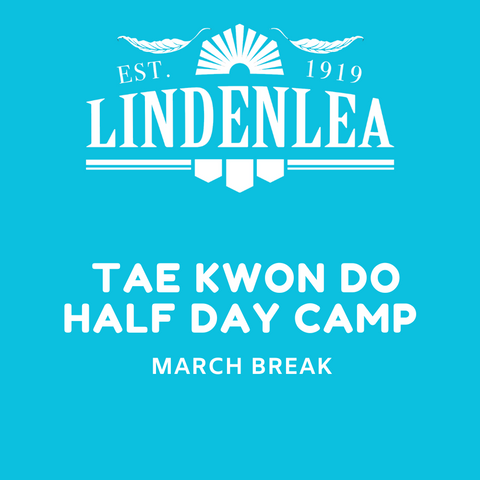 Tae Kwon Do - Half Day Camp