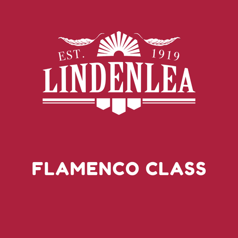 Flamenco Dance - Monday Night