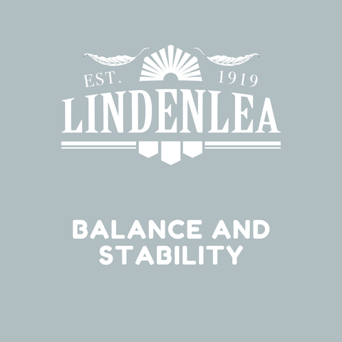 BALANCE AND STABILITY - WEDNESDAY 10:15AM